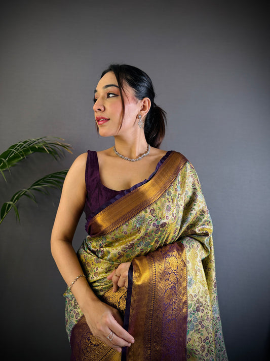 Pure Premium Dharmavaram Silk Sarees