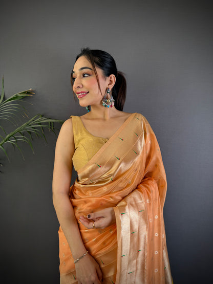 Paithani saree