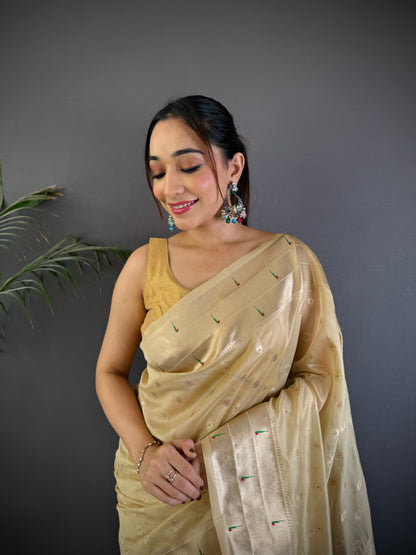 Paithani saree