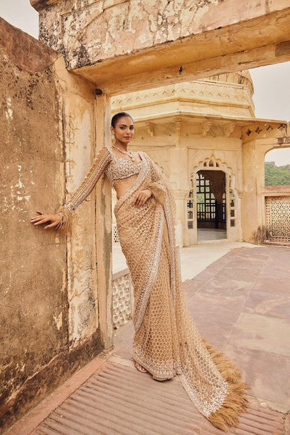 Full Saree of Heavy Quality Butterfly Net

( JP37)
