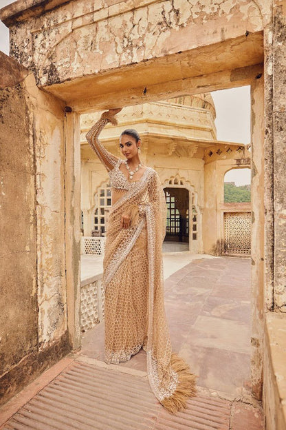 Full Saree of Heavy Quality Butterfly Net

( JP37)